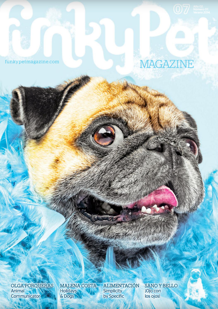 Funkypet Magazine