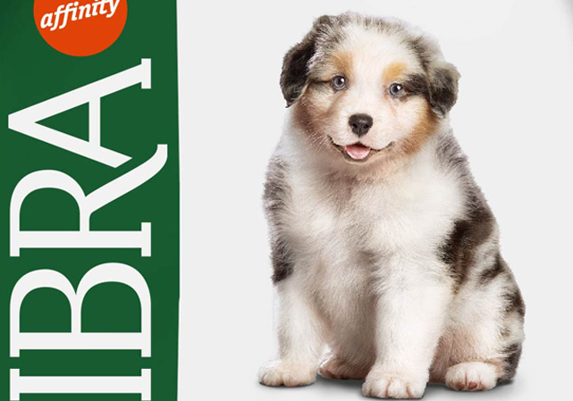 Libra Affinity Dog