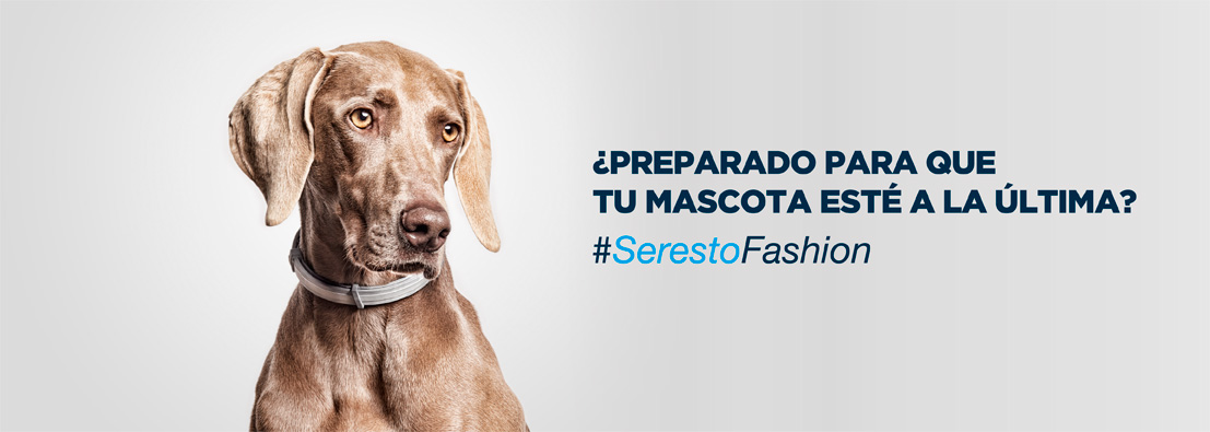 fotógrafo de perros para Seresto de Bayer