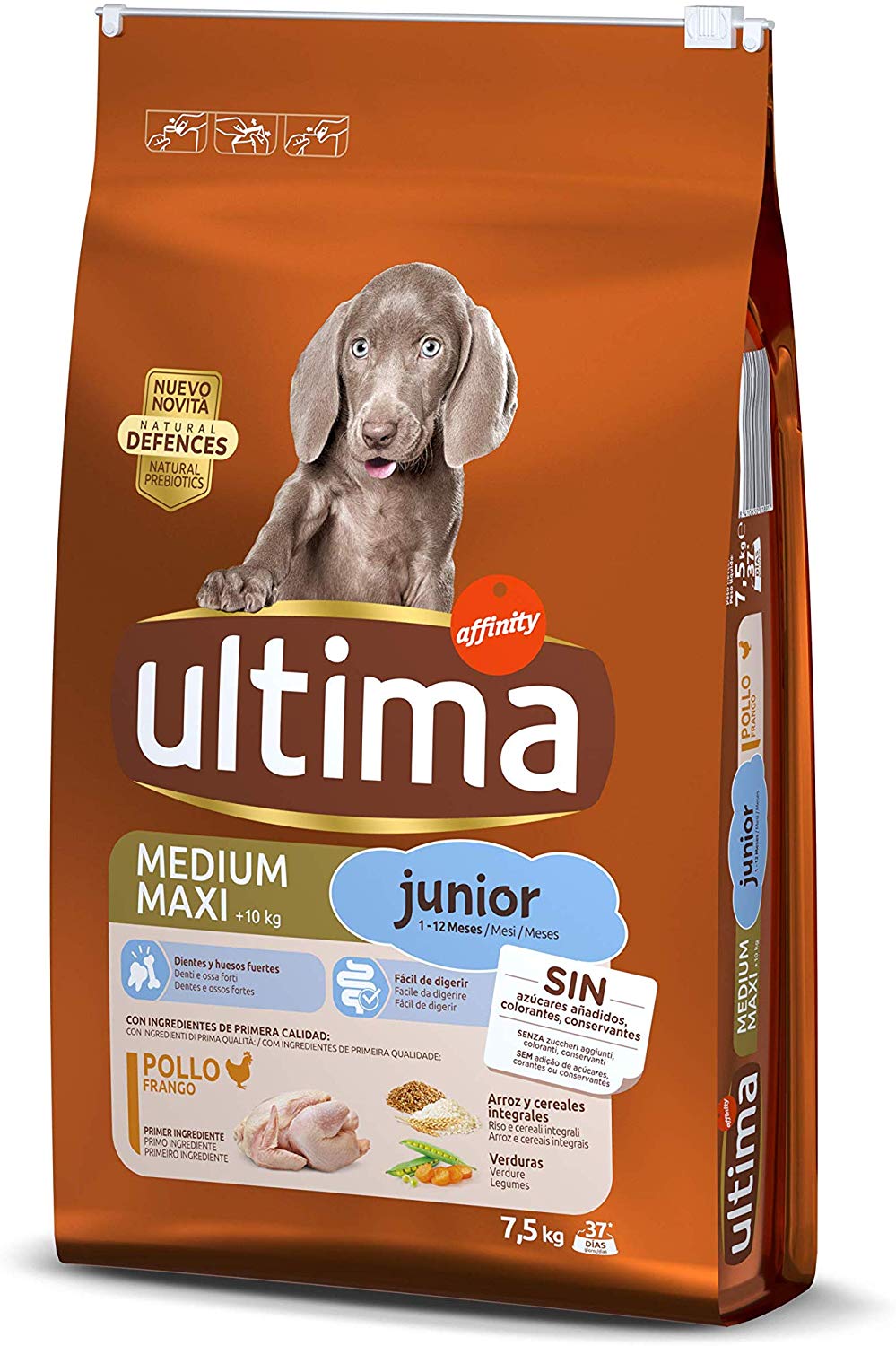 Ultima, Perro