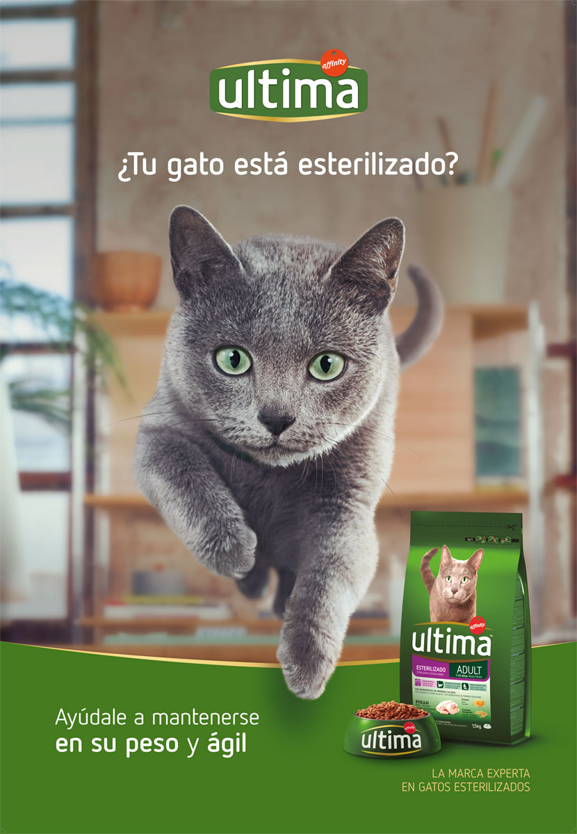 gato esterilizado affinity ultima