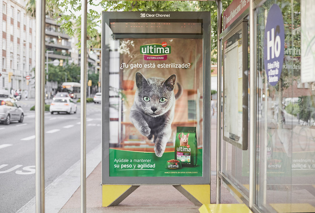 grafica-ultima-gato-affinity