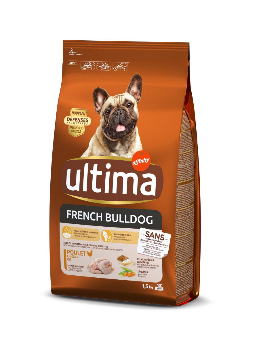 Ultima de affinity bulldog francés
