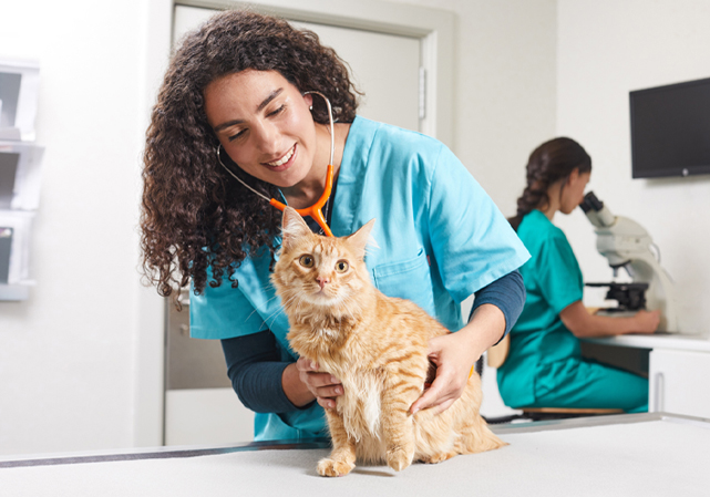 VETS & CLINICS by ADVANCE