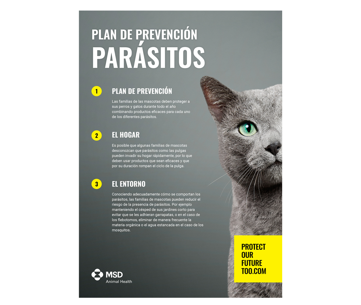 POFT_2022_VET_Advices_Parasitos_gato