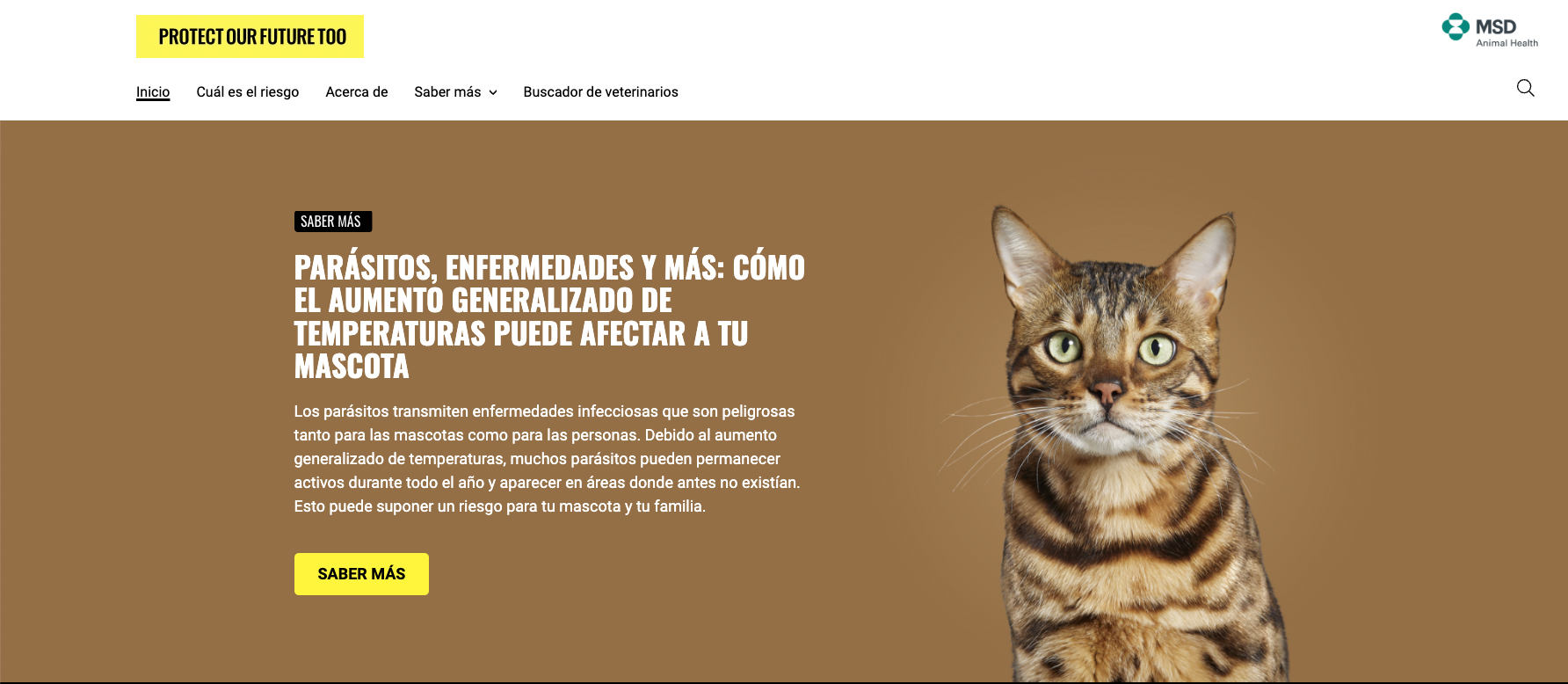 gato-msd-protect-our-future-to