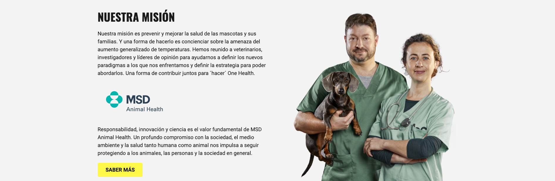 protect-our-future-to-veterinarios-con-perro